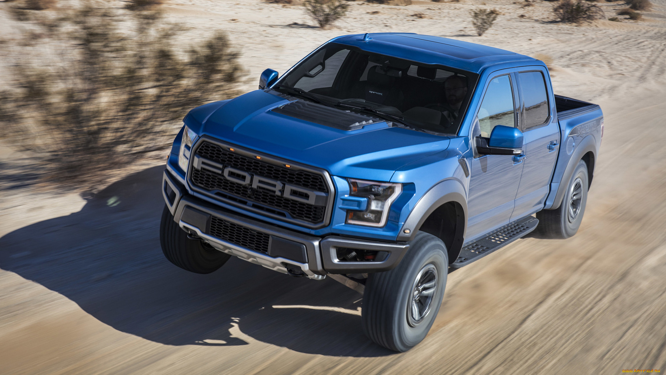 ford f-150 raptor 2019, , ford, raptor, f-150, blue, 2019, 